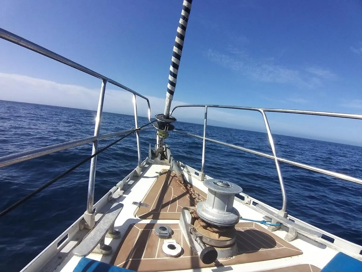 Tenerife Playa La Arena 푸에르토 데 산티아고 아파트