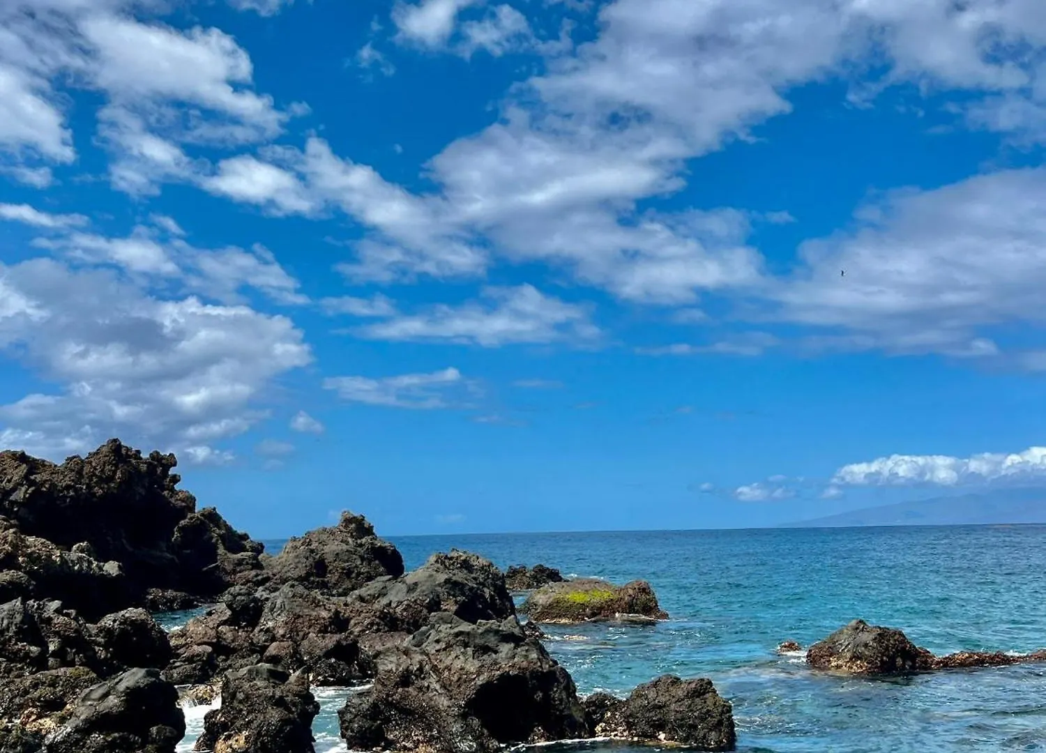 Tenerife Playa La Arena 푸에르토 데 산티아고