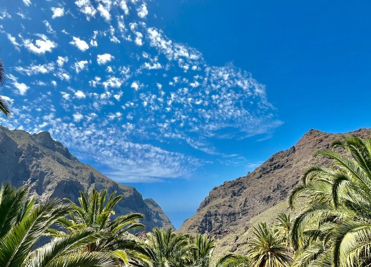 Apartment Tenerife Playa La Arena Puerto de Santiago